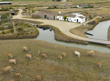 2f456211cb3f47ac9e82bd87f117074e