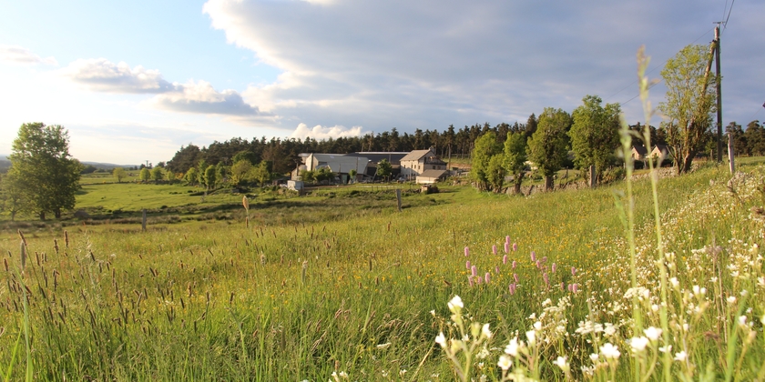 LA FERME ENCHANTÉE