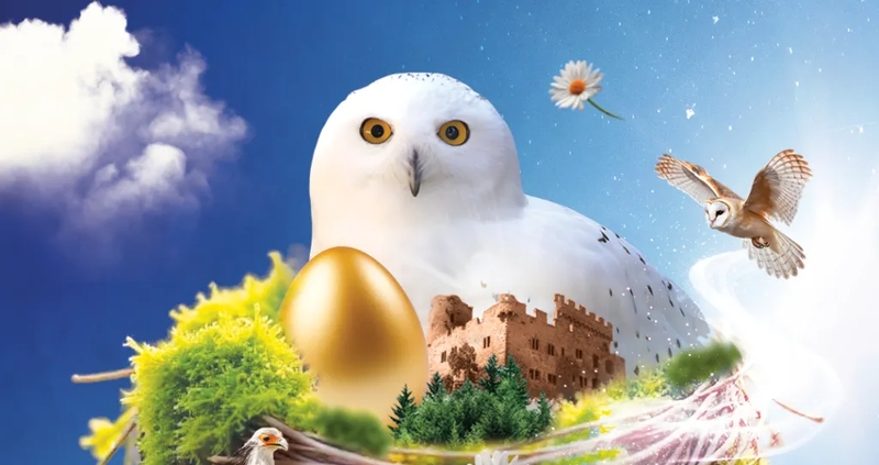 16f513a24df24161895f3cc9ce401582