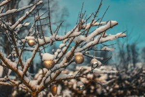 | Veillée de Noël |