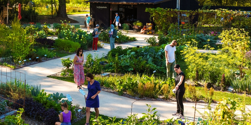 Visite du Potager Extraordinaire