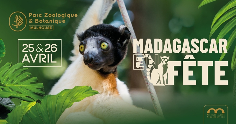 66b63440d46f4942a6e218734cfb7efc