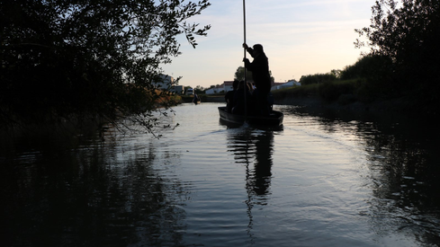 e3ddcc49c8194158855834a857314aa5