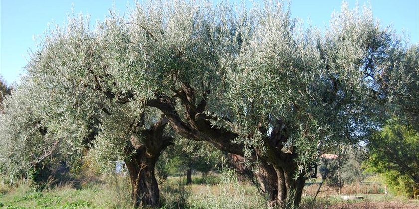 a6407f436ffc4cf28fb319129778962d