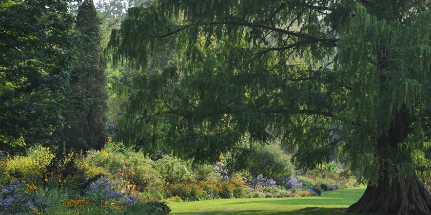 a6767f6e91cb4256b66fa23c5700977a