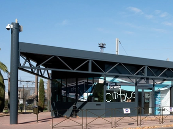 Citibus