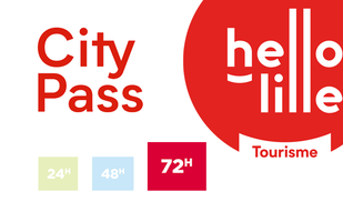 72hrs Lille City Pass 