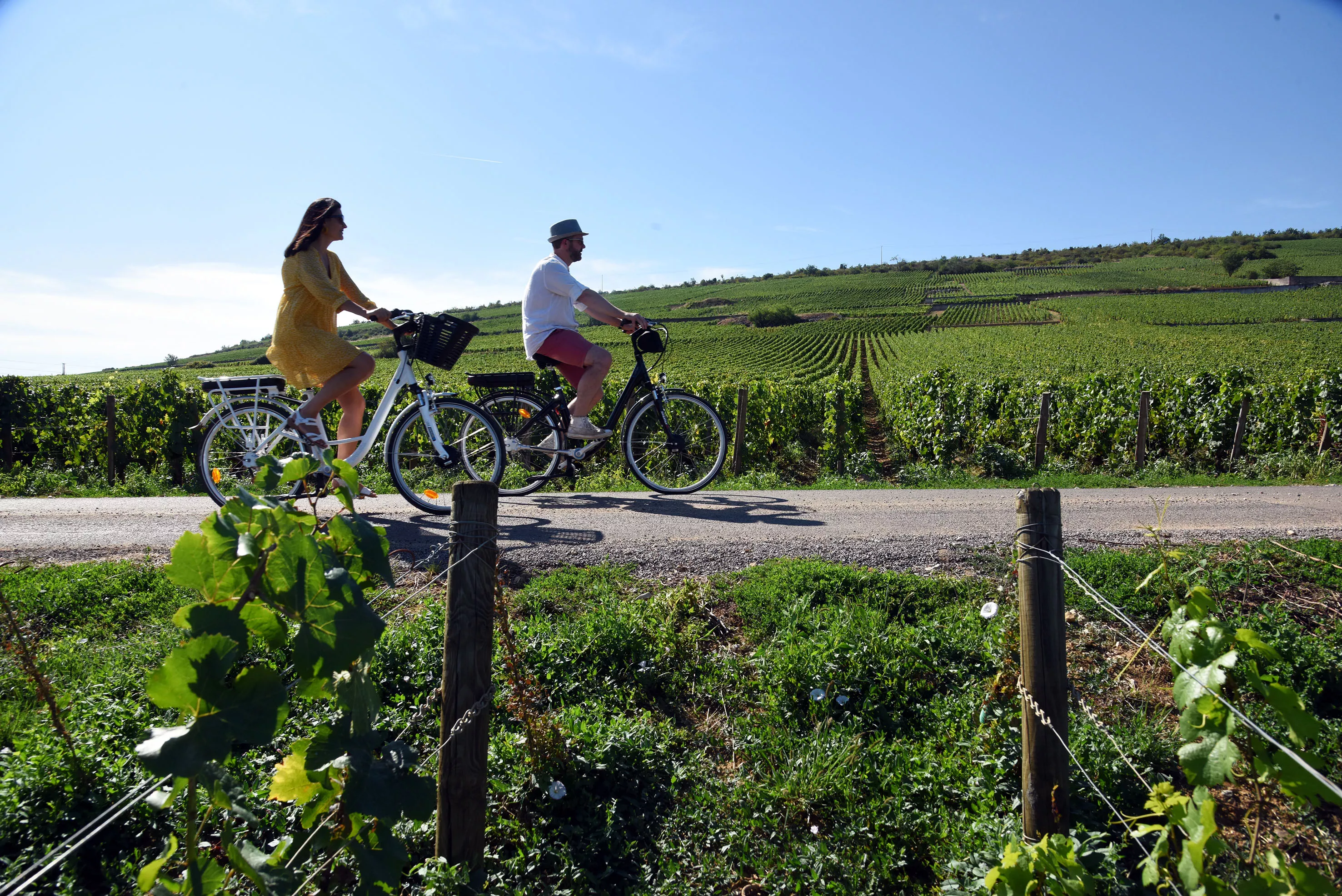 Office de Tourisme Gevrey-Chambertin - Nuits-Saint-Georges