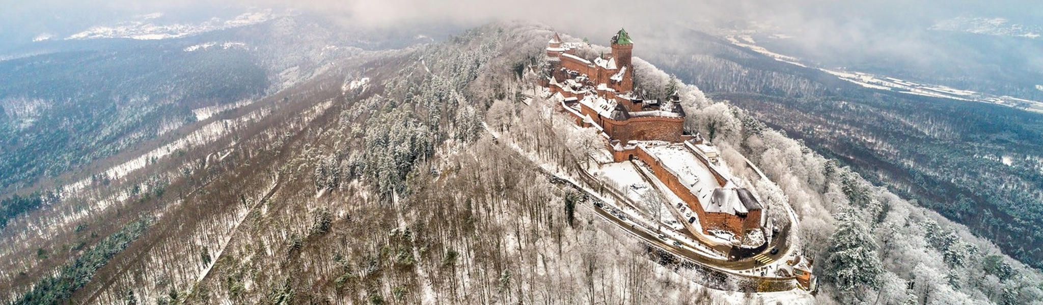 d263c300af484bc7803217b4bec00510