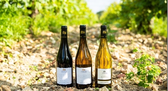 Château de l'Aulée