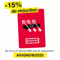 Avignon city 48H pass