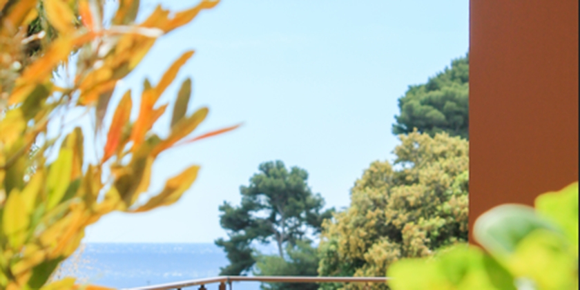 797d92ae1e774de69c20135e1533b893