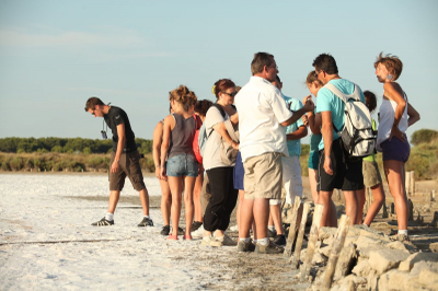 de922e452f3341d282e96ec95e7500f5