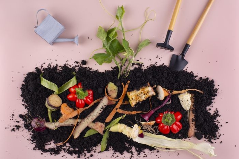 | Formation aménagements : Et si mes déchets végétaux rendaient mon jardin plus beau ? |