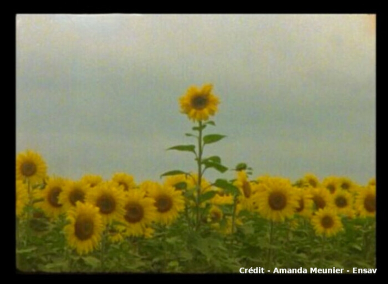 a2e63d4c378b4492bd6392b874cc287e