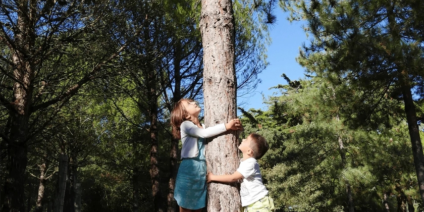 6e32454b3f4d4a90940173d0e7dd167c