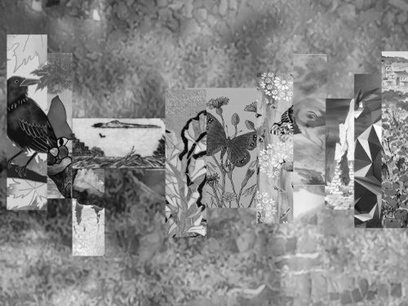 | Vernissage Éclats de nature |