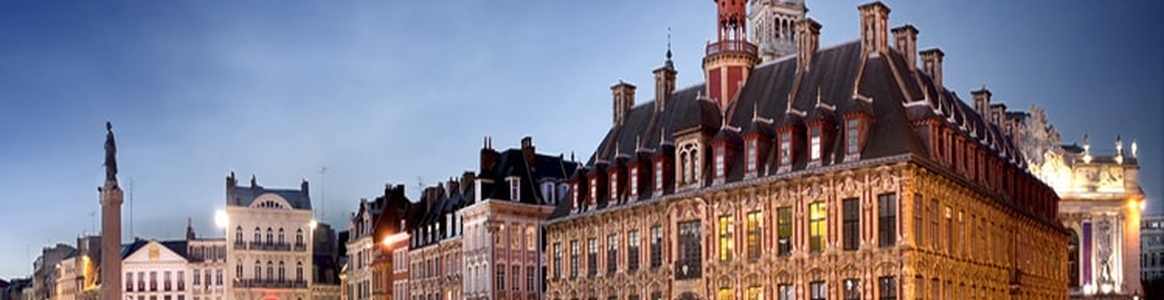 Lille European Metropolis city pass