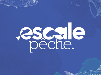 eb8b7104b2bb4d718c6b86975aca47bd