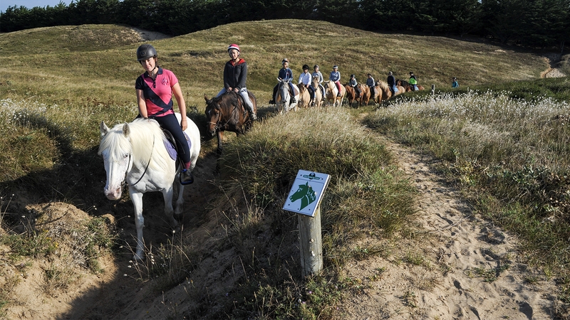 df70d87cf4ad476a9f6eea740e71f539