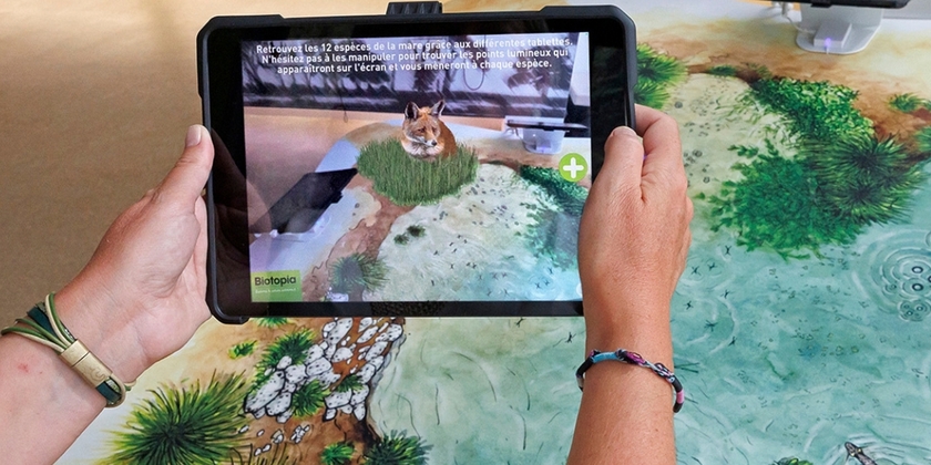 13d6222c9ba44964b1396f9e0b334a04