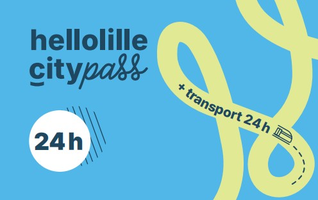 Lille City Pass 24h