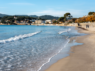 c8ba123099214281b2ff9836ba17a341