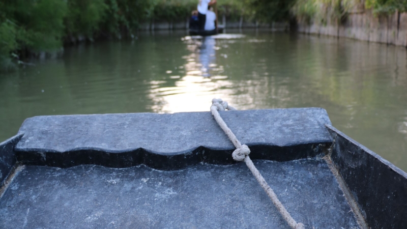 cdd6016455ef444a92a29f2687c46cb5