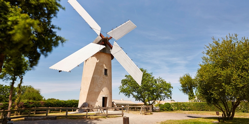 6d232f9c0bea4e3b83ca1476e3bdfc81