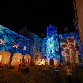 Château de Beaugency - Château de Lumières