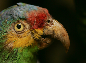 47d0eb03e92c45449ffb5f6e66a538a5