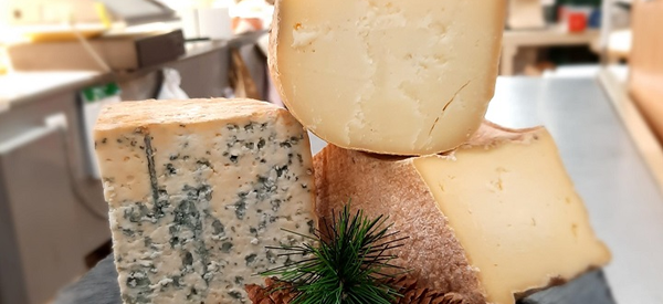 Dégustation de fromages des Pyrénées à l'instant fromage (sous les halles)