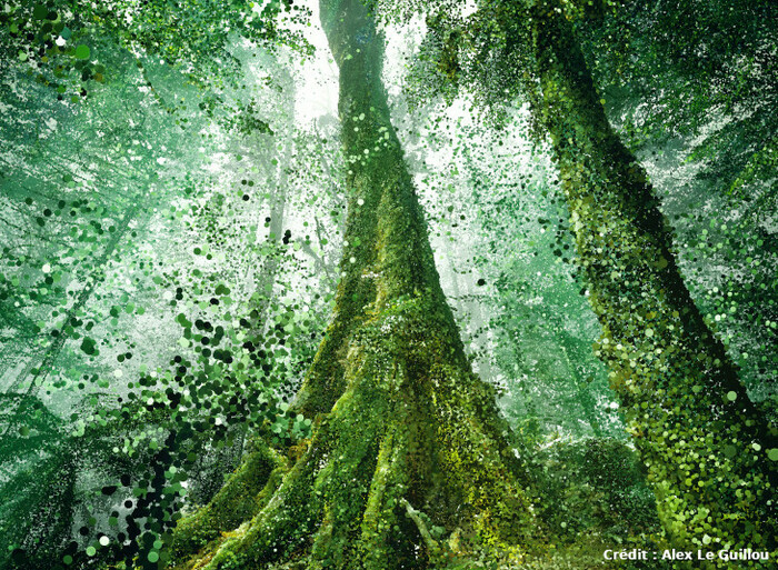 27d5a3b2b4cf414d8cf79ec335eef523