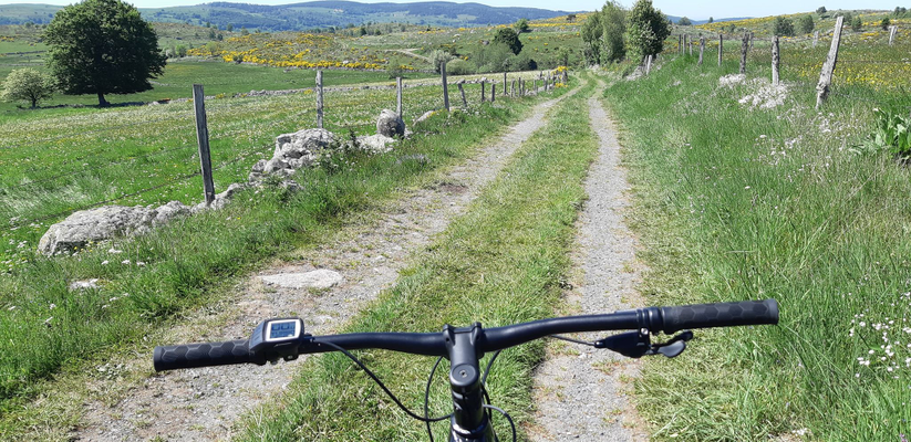 8d7c8b52a25b47fa996f9971f6562144