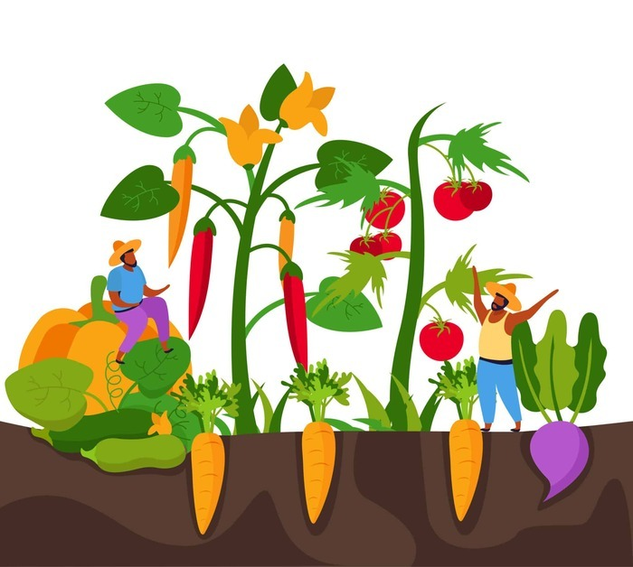 8667ff26341b4bc2abb9d8af0ea18d68