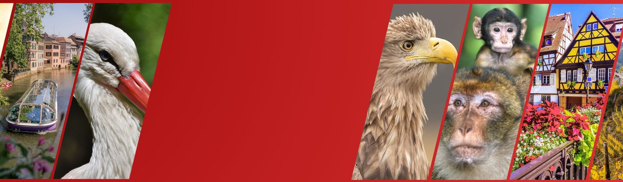 2301b389129e40a6812e27ee67caee65