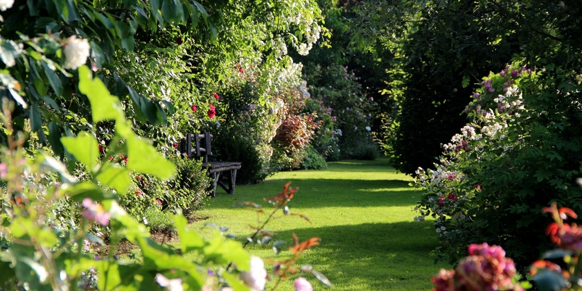 8e53af2b6c334589bef61f4ace69a211