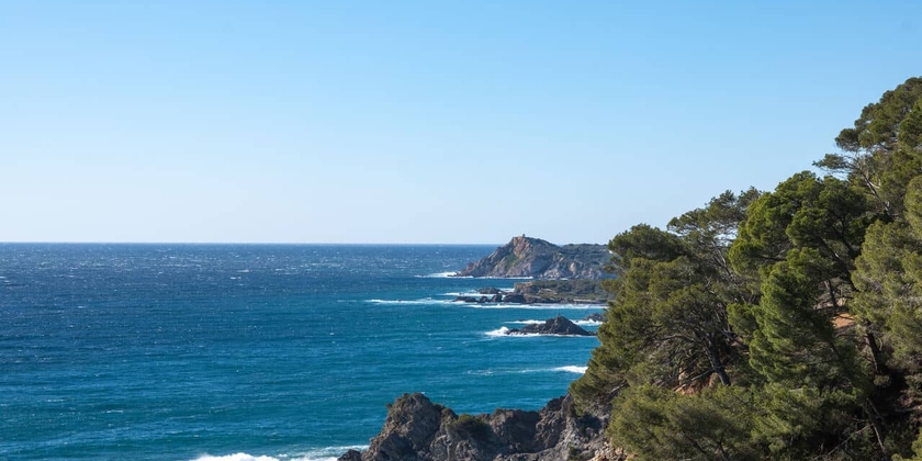 1bb7c7a667c04d83aa944bf822f18c98