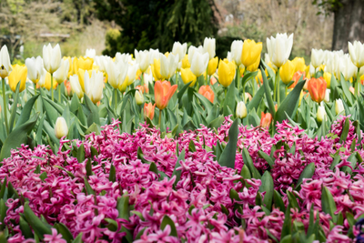 beee5bc472914e068707bfb8ac27a89d