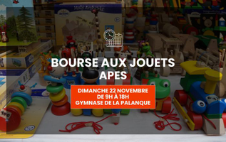 | Bourse aux jouets – APES |