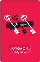 Avignon City Pass 24h