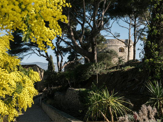 b674debed703491fbee358a33ee70302