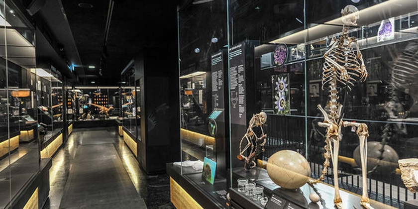 2df5767903044ba1aad4404c7c05bc9a