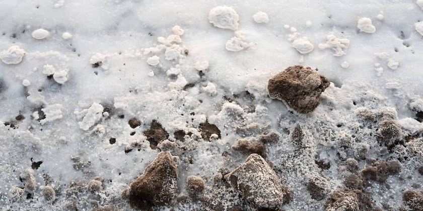 46d5a908eae54455bb378e380aa7d327