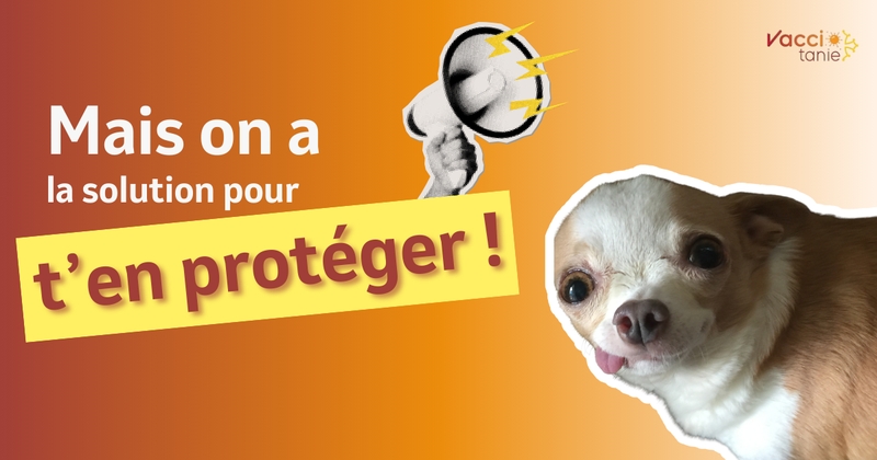 5eed82d510354fa28b52247336337da5