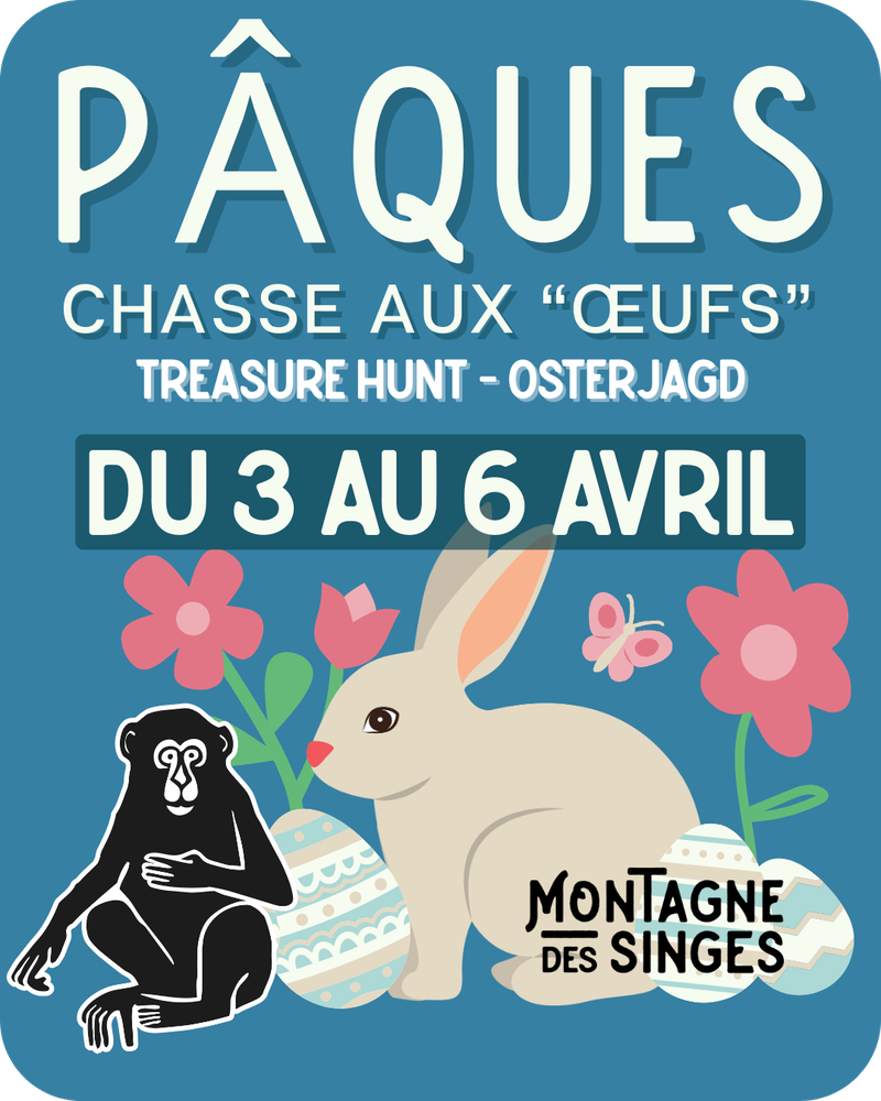 2e89c19b4e9241b98b1abb3da3c6434b