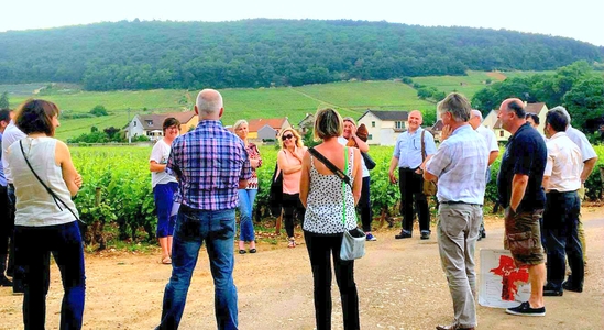 Réduction de 10€ sur les Ateliers du Vins : la balade découverte et/ou l’initiation à la dégustation. Durée 2h