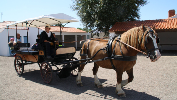 d2fc061027eb4c92aca6016a1e16273c