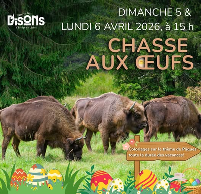 25b76b6dfdc1454098eab66fad2a5a11