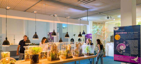 Muséum d'Histoire naturelle